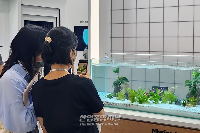 체험부스서 즐기는 '삼성디스플레이' 기술력 - 산업종합저널 전시회