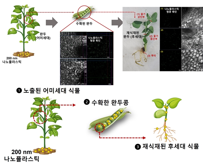 토양생태계 내 미세·나노플라스틱 순환 가능성 제시 - 산업종합저널 소재