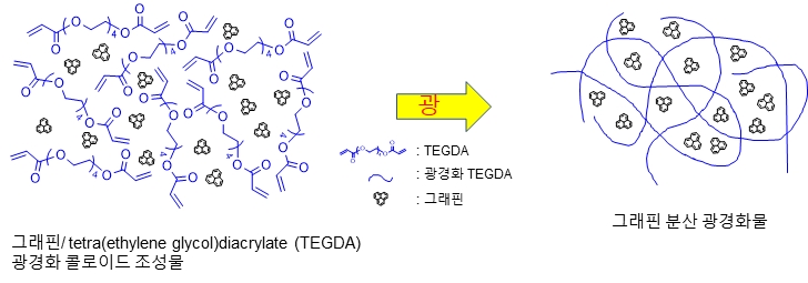 그래핀 분산 기술로 광경화 투명필름 개발 - 산업종합저널 전자