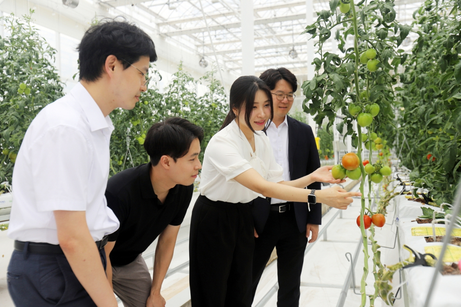 신재생에너지로 여는 스마트 무탄소 농업… 기계연, ‘온실 3중 열병합발전 시스템’ 첫 실증 - 산업종합저널 에너지