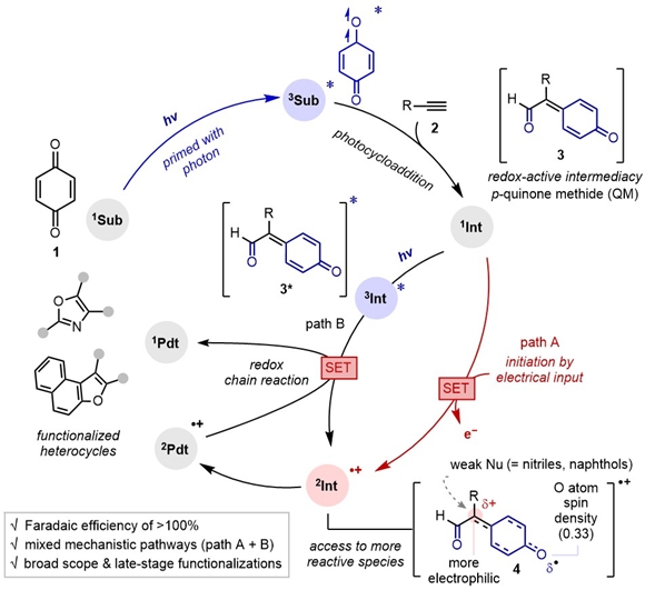 빛과 전기로 합성의 새 길 열다 - 산업종합저널 전자
