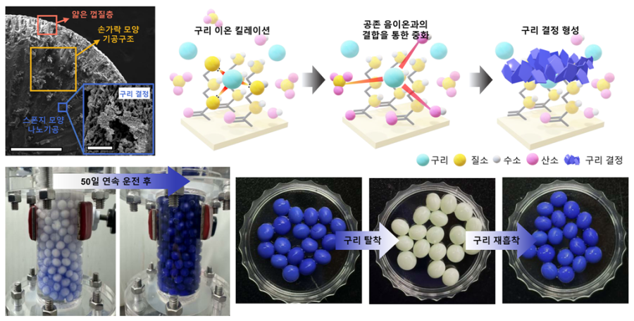 "폐수에서 금속이 자란다"… KIST, 구리 회수율 2배 '재배 캡슐' 개발 - 산업종합저널 전자