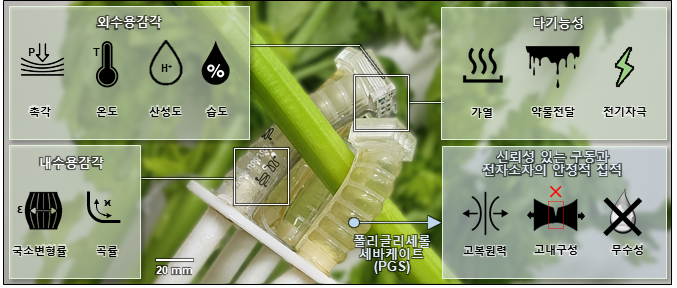 임무 마치면 흙으로… ‘완전 생분해’ 고성능 소프트 로봇 플랫폼 가동 - 산업종합저널 소재