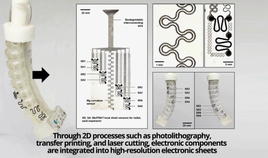 임무 마치면 흙으로… ‘완전 생분해’ 고성능 소프트 로봇 플랫폼 가동 - 산업종합저널 소재