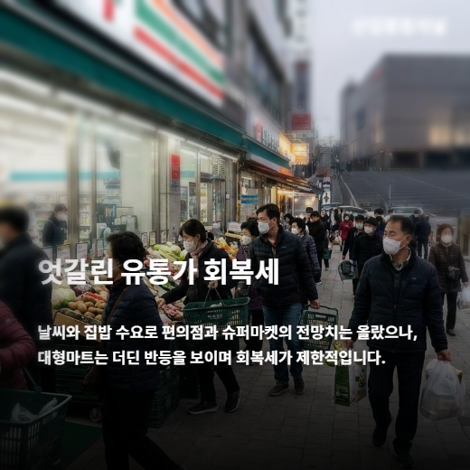 [카드뉴스] '3고' 덮친 유통가, 봄 특수 실종…양극화 뚜렷 - 산업종합저널 에너지