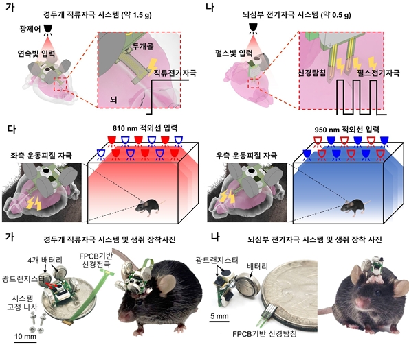 빛으로 원하는 뇌회로만 골라 자극…초경량 무선 신경조절 플랫폼 개발 - 산업종합저널 전자
