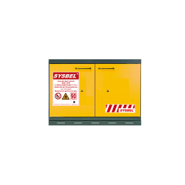 안전 보관 캐비닛 (Safefy Storage Cabinet)