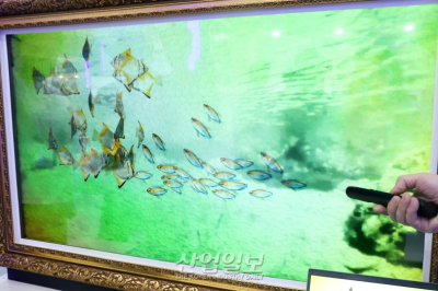 생동감 넘치는 홀로그램, '실감나네'