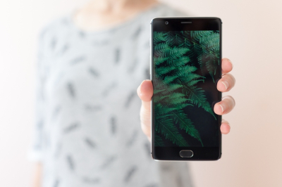 스마트폰용 OLED 출하량, 중국에 역전되나