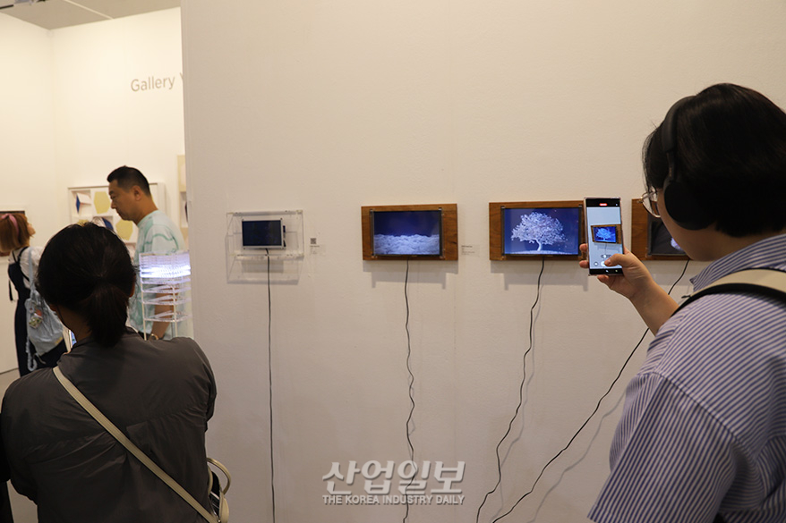 뉴미디어아트, NFT 통해 저작권 보장받아