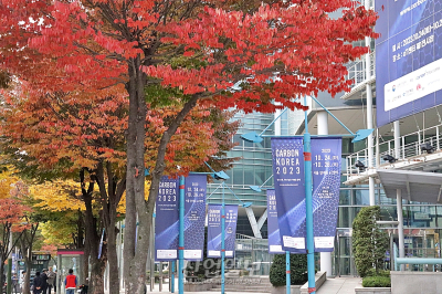 [카본코리아] 가을 단풍과 함께 찾아온 탄소소재 전시회