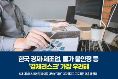 [그래픽뉴스] 한국 경제·제조업, 물가 불안정 등 ‘경제리스크’ 가장 우려해