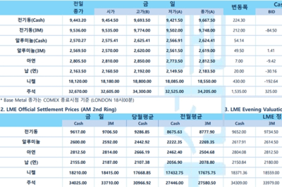 [4월18일] 미국의 철강 관세 인상 반대 (LME Daily)
