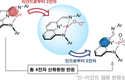 4전자 산화환원 반응 촉매, 국내 기술로 개발