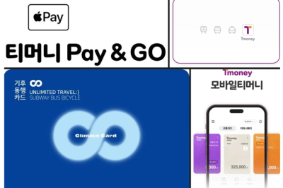 [모바일 On]아이폰 애플페이, 국내 교통카드 지원 가시화