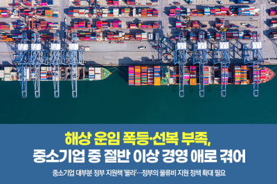 [그래픽뉴스] 해상 운임 폭등·선복 부족, 중소기업 절반 이상 경영 애로 겪어