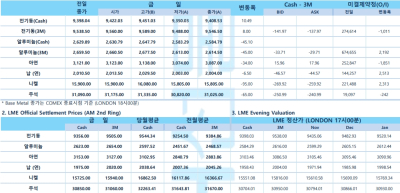 [10월 30일] 골드만삭스, 달러-엔 환율 160엔 접근 시 당국 개입 예상(LME Daily)