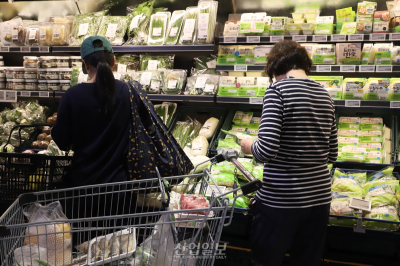 소비심리 위축에 유통업계 ‘불안’…“내년 0.4% 성장 그칠 것”