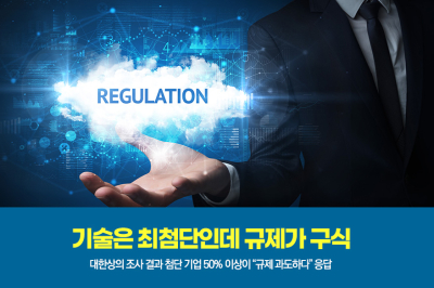 [그래픽뉴스] 기술은 최첨단인데 규제가 구식