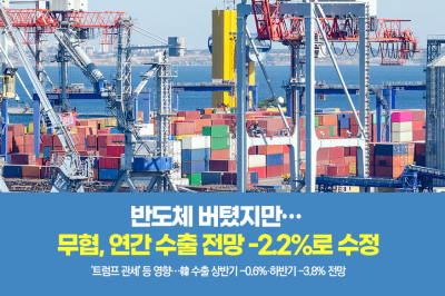 [그래픽뉴스]반도체 버텼지만… 무협, 연간 수출 전망 -2.2%로 수정