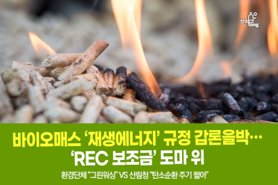 [카드뉴스] 바이오매스 ‘재생에너지’ 규정 갑론을박… ‘REC 보조금’ 도마 위