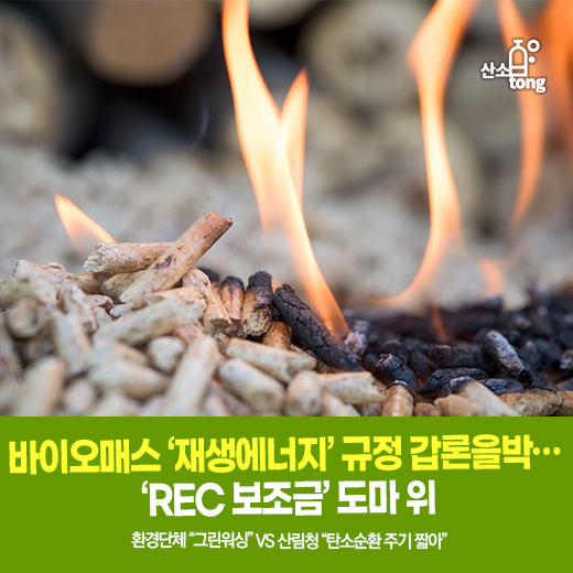 [카드뉴스] 바이오매스 ‘재생에너지’ 규정 갑론을박… ‘REC 보조금’ 도마 위