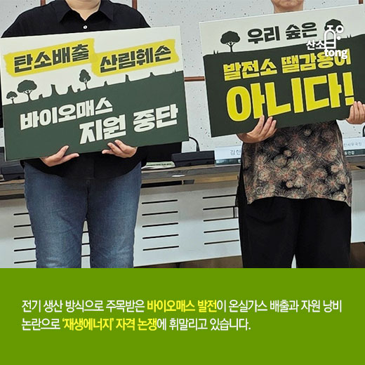 [카드뉴스] 바이오매스 ‘재생에너지’ 규정 갑론을박… ‘REC 보조금’ 도마 위