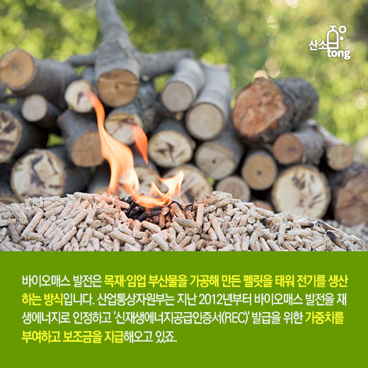 [카드뉴스] 바이오매스 ‘재생에너지’ 규정 갑론을박… ‘REC 보조금’ 도마 위