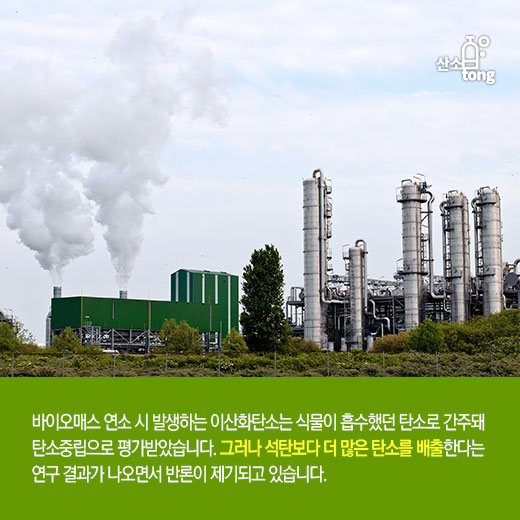 [카드뉴스] 바이오매스 ‘재생에너지’ 규정 갑론을박… ‘REC 보조금’ 도마 위