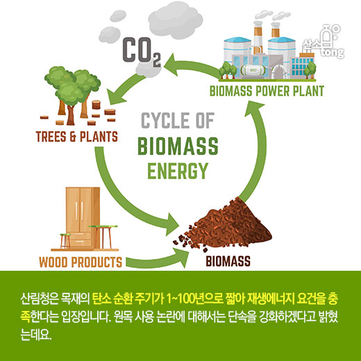 [카드뉴스] 바이오매스 ‘재생에너지’ 규정 갑론을박… ‘REC 보조금’ 도마 위