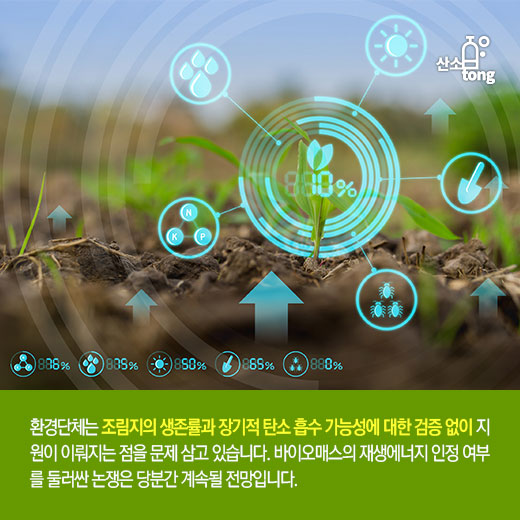 [카드뉴스] 바이오매스 ‘재생에너지’ 규정 갑론을박… ‘REC 보조금’ 도마 위