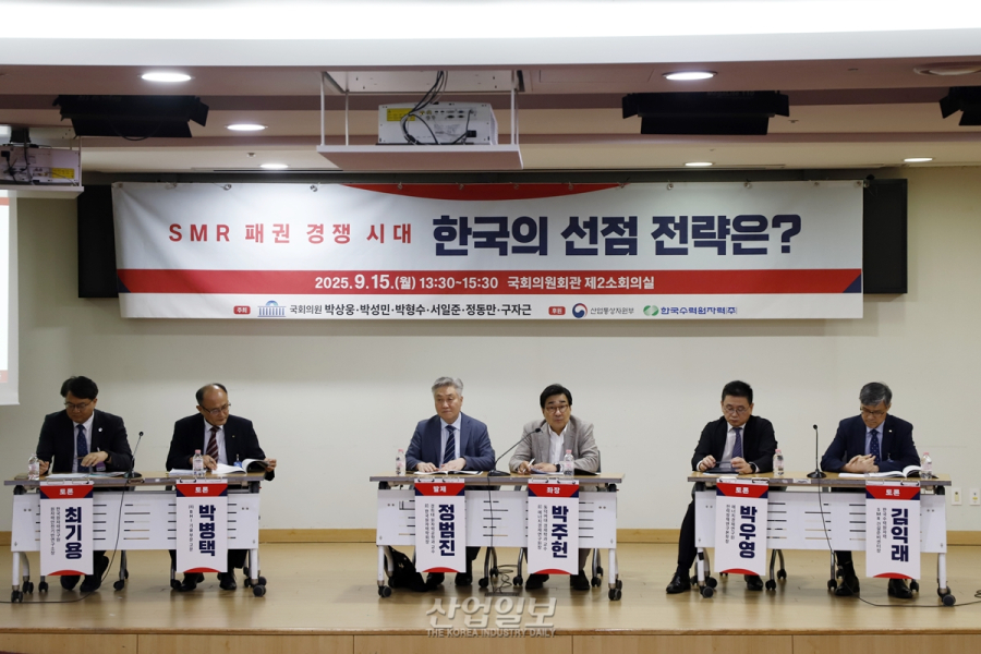 SMR 시장, 기술 경쟁을 넘어선 시장 창출이 열쇠