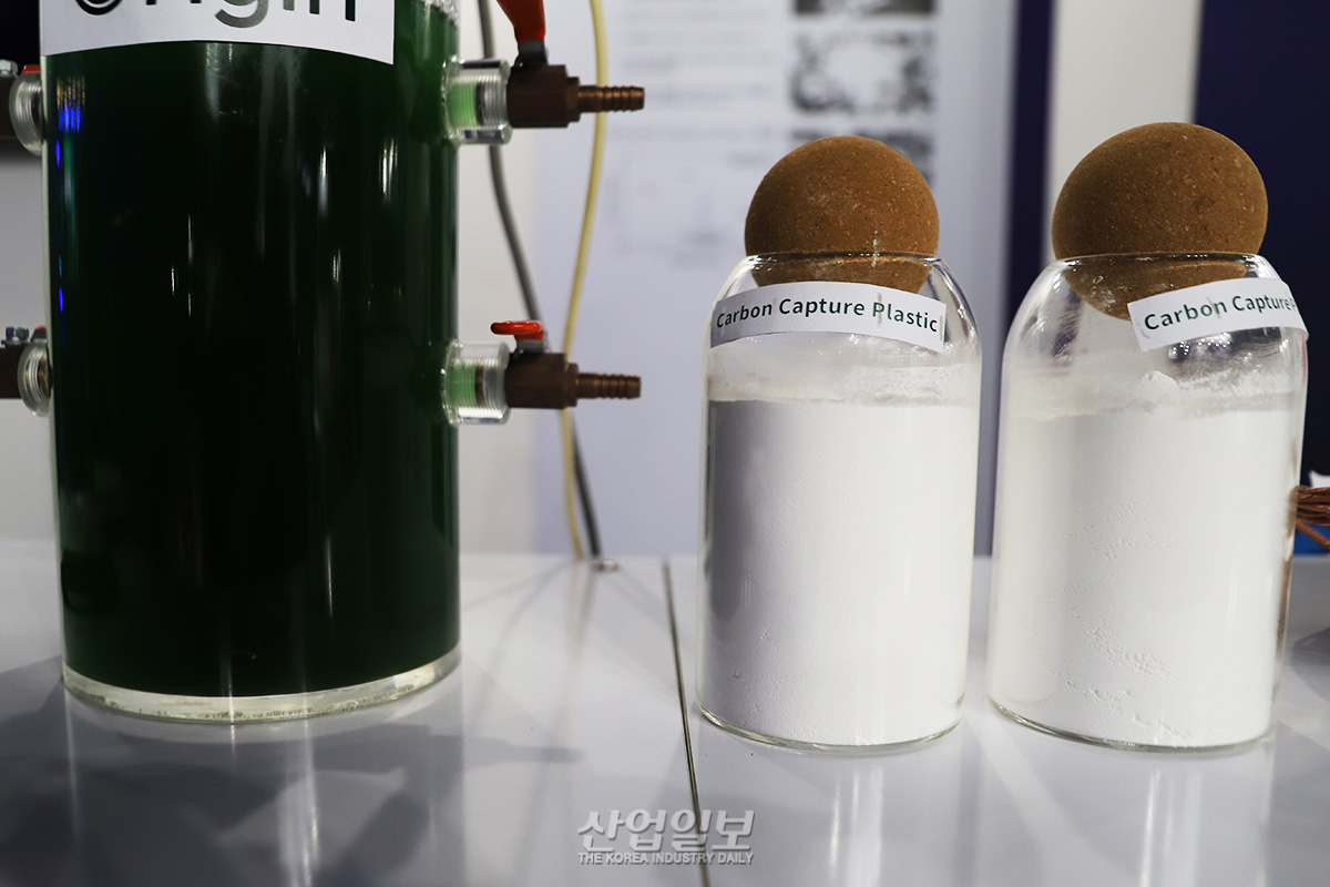 녹조 박테리아, '생분해 플라스틱'으로 재탄생 - 뉴스 썸네일 이미지