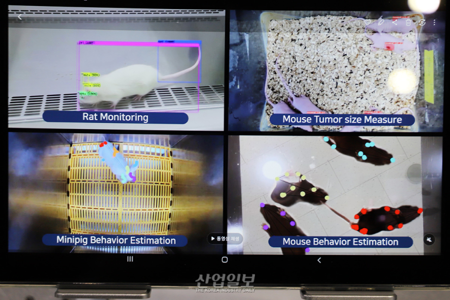 비전 AI로 혈관 찾고 로봇이 주입…약물 실험 자동화