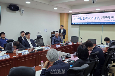 “신규 원전·SMR 경제성 재검토 필요”…건설 기간·할인율 쟁점